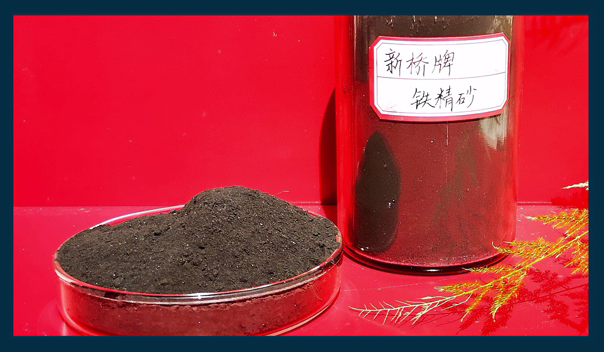 首页|尊龙人生就是博官网入口