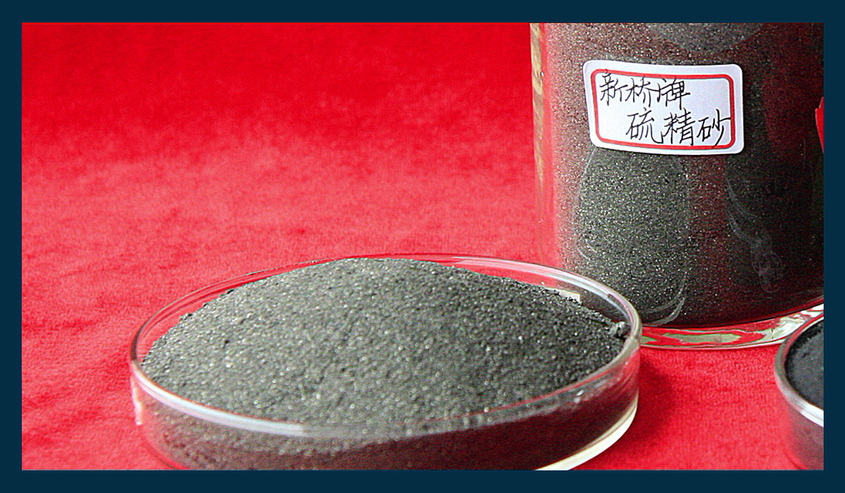 首页|尊龙人生就是博官网入口