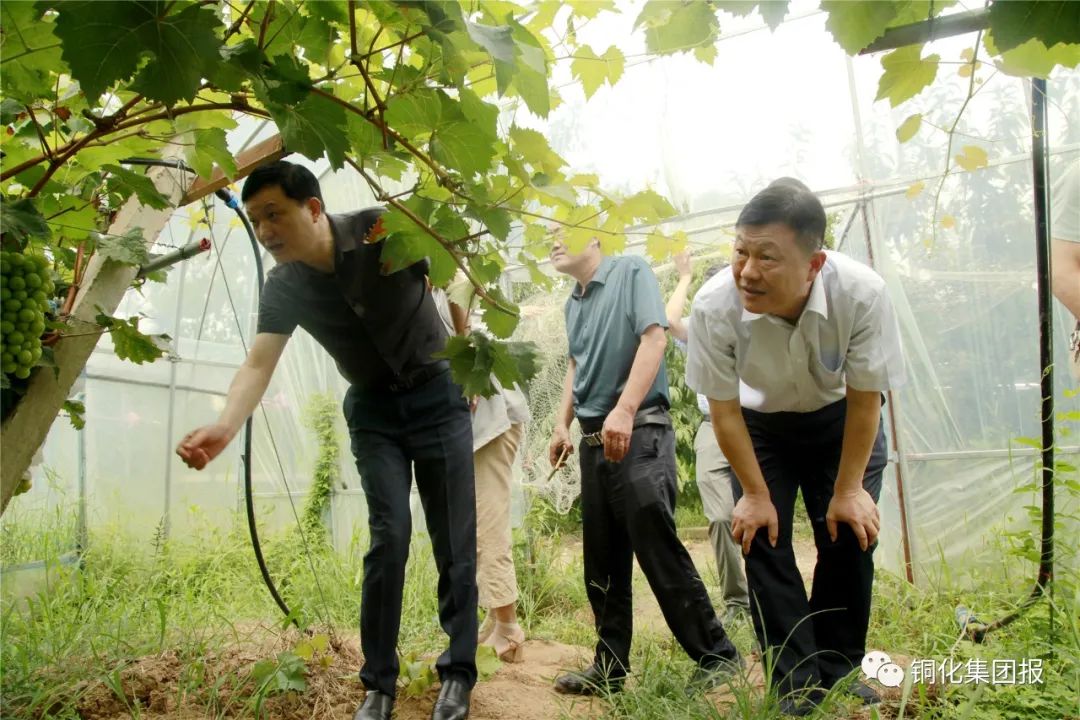 首页|尊龙人生就是博官网入口