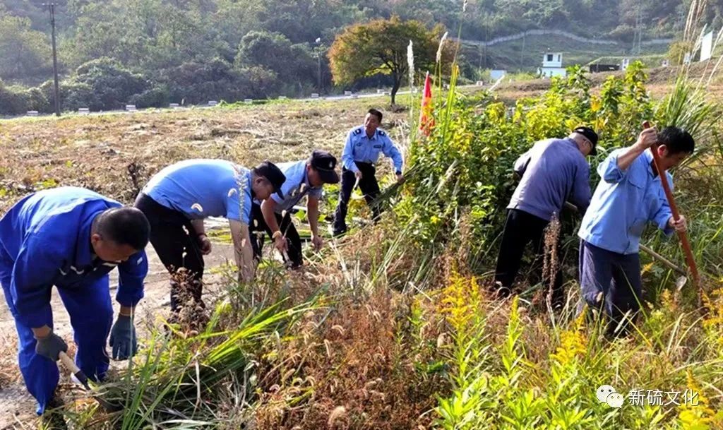 首页|尊龙人生就是博官网入口