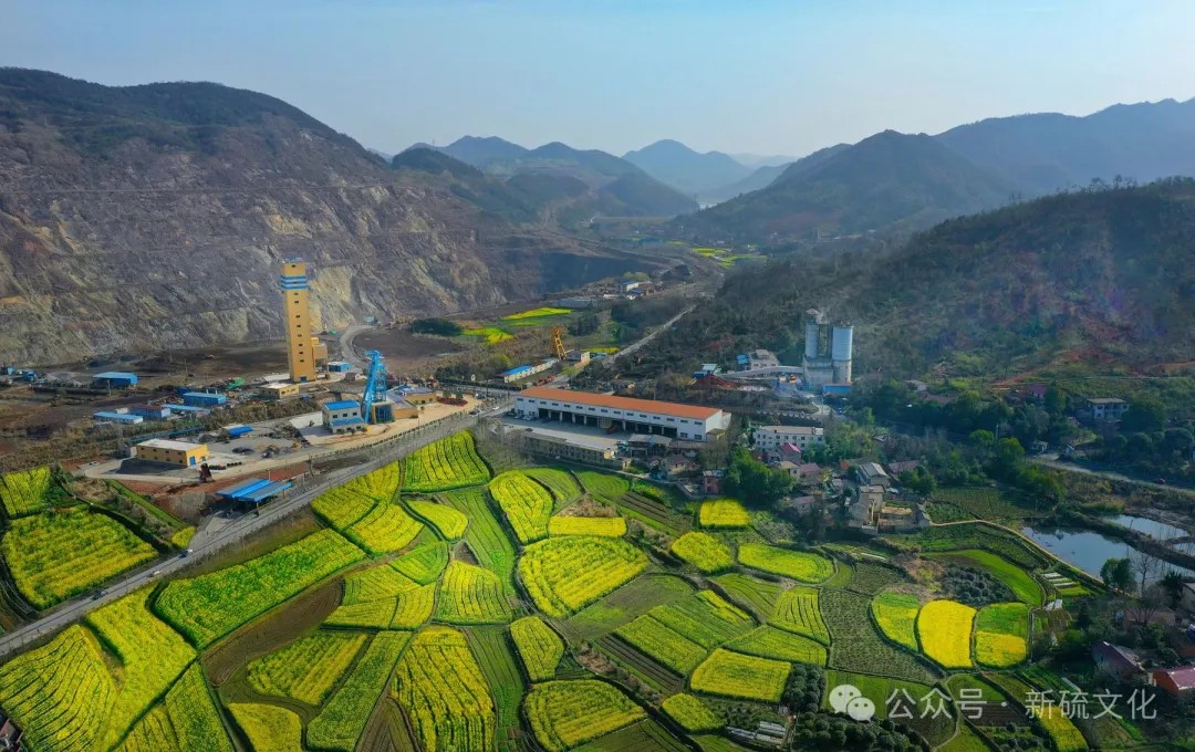 首页|尊龙人生就是博官网入口